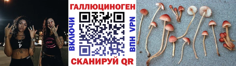 Псилоцибиновые грибы Magic Shrooms  Купить закладки  Болохово 